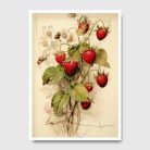 3e09a1bc0edec332956a958f0b9a2dbc.webp